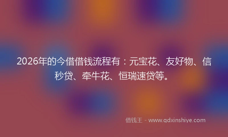 2026年的今借借钱流程有:元宝花、友好物、信秒贷、牵牛花、恒瑞速贷等。