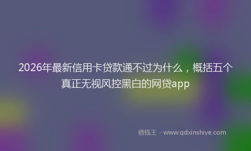 2026年最新信用卡贷款通不过为什么,概括五个真正无视风控黑白的网贷app