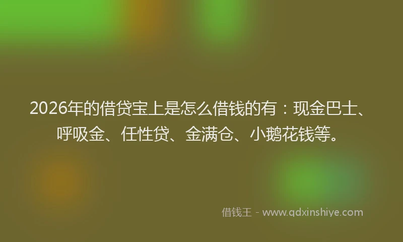 2026年的借贷宝上是怎么借钱的有：现金巴士、呼吸金、任性贷、金满仓、小鹅花钱等。