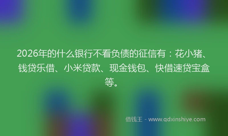 2026年的什么银行不看负债的征信有:花小猪、钱贷乐借、小米贷款、现金钱包、快借速贷宝盒等。