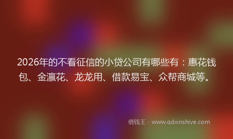 2026年的不看征信的小贷公司有哪些有：惠花钱包、金瀛花、龙龙用、借款易宝、众帮商城等。
