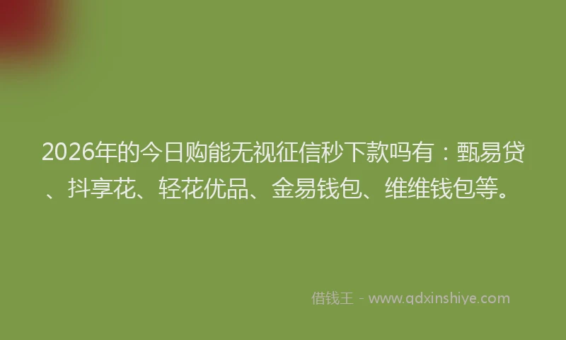 2026年的今日购能无视征信秒下款吗有:甄易贷、抖享花、轻花优品、金易钱包、维维钱包等。