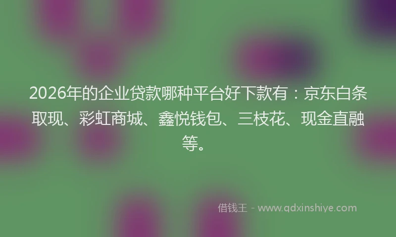 2026年的企业贷款哪种平台好下款有：京东白条取现、彩虹商城、鑫悦钱包、三枝花、现金直融等。