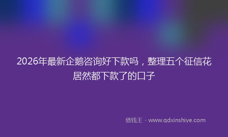 2026年最新企鹅咨询好下款吗，整理五个征信花居然都下款了的口子