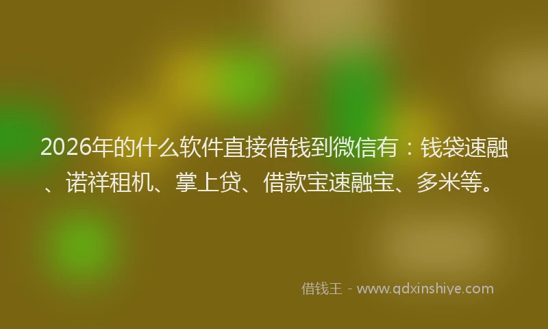2026年的什么软件直接借钱到微信有：钱袋速融、诺祥租机、掌上贷、借款宝速融宝、多米等。