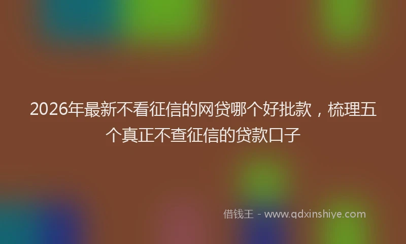 2026年最新不看征信的网贷哪个好批款，梳理五个真正不查征信的贷款口子