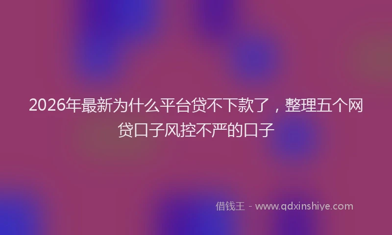 2026年最新为什么平台贷不下款了，整理五个网贷口子风控不严的口子