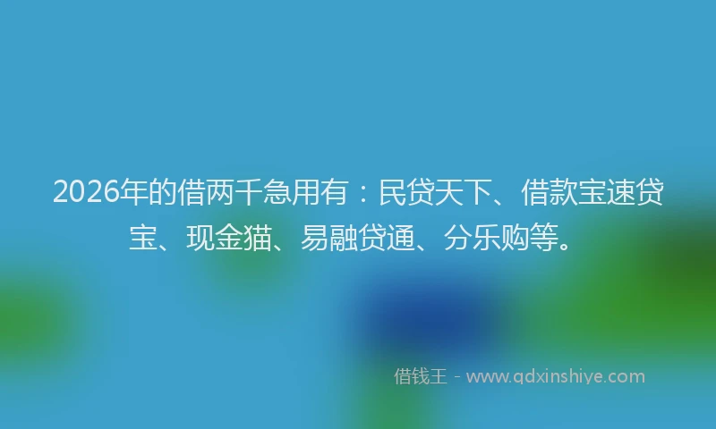2026年的借两千急用有：民贷天下、借款宝速贷宝、现金猫、易融贷通、分乐购等。