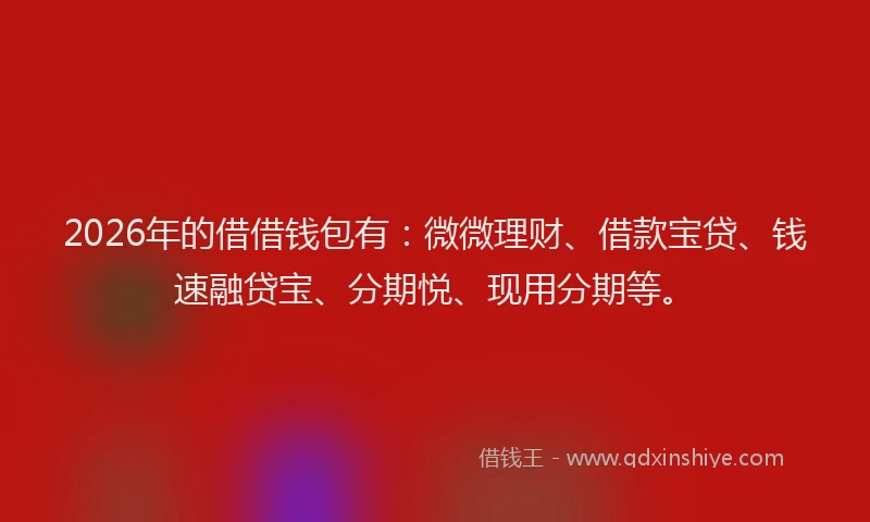 2026年的借借钱包有：微微理财、借款宝贷、钱速融贷宝、分期悦、现用分期等。