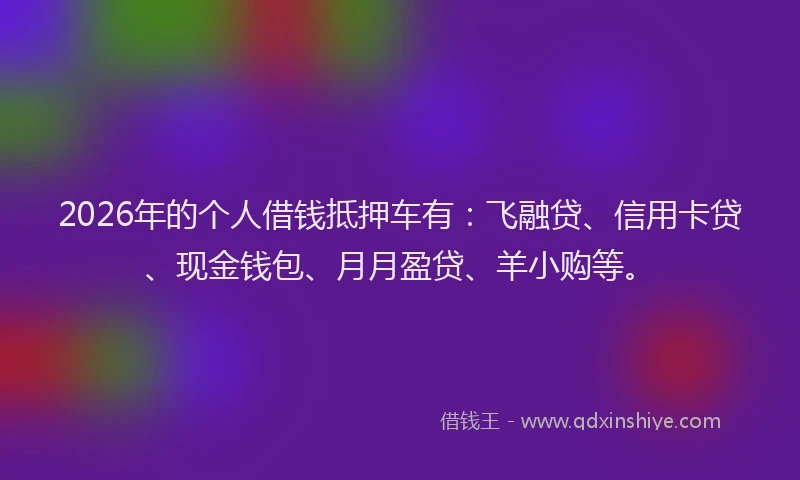 2026年的个人借钱抵押车有:飞融贷、信用卡贷、现金钱包、月月盈贷、羊小购等。