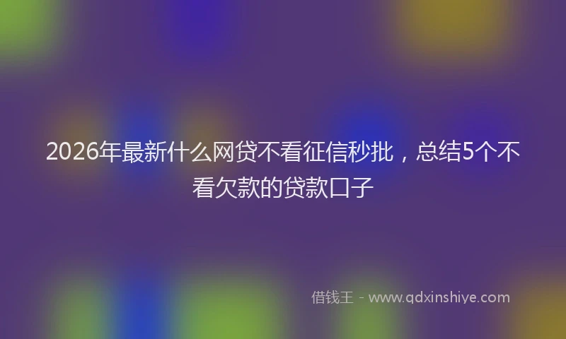 2026年最新什么网贷不看征信秒批,总结5个不看欠款的贷款口子