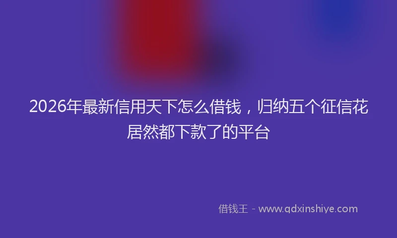 2026年最新信用天下怎么借钱,归纳五个征信花居然都下款了的平台
