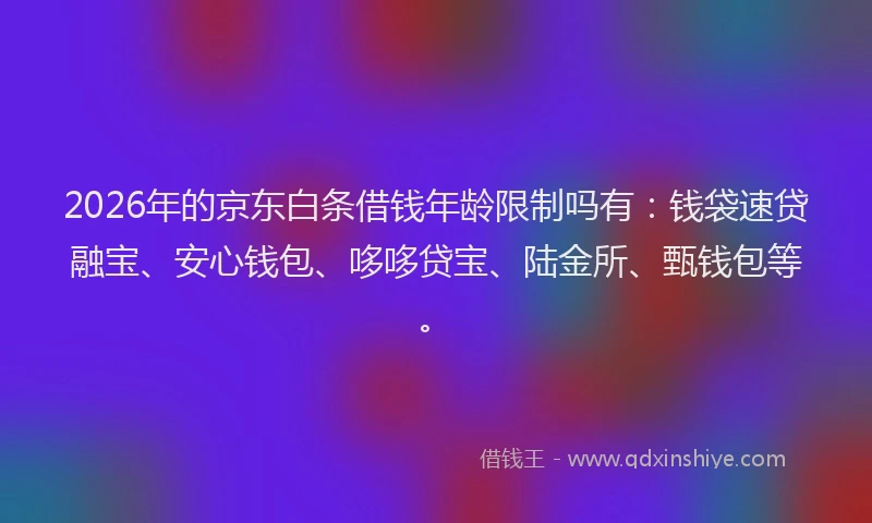 2026年的京东白条借钱年龄限制吗有:钱袋速贷融宝、安心钱包、哆哆贷宝、陆金所、甄钱包等。