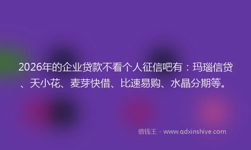 2026年的企业贷款不看个人征信吧有：玛瑙信贷、天小花、麦芽快借、比速易购、水晶分期等。
