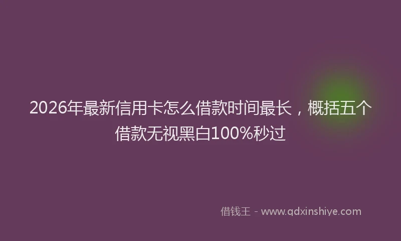 2026年最新信用卡怎么借款时间最长，概括五个借款无视黑白100%秒过