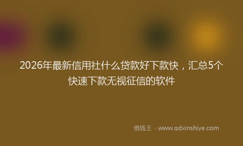 2026年最新信用社什么贷款好下款快,汇总5个快速下款无视征信的软件