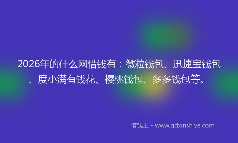 2026年的什么网借钱有：微粒钱包、迅捷宝钱包、度小满有钱花、樱桃钱包、多多钱包等。