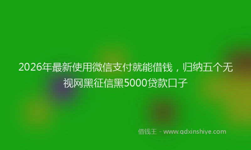 2026年最新使用微信支付就能借钱，归纳五个无视网黑征信黑5000贷款口子