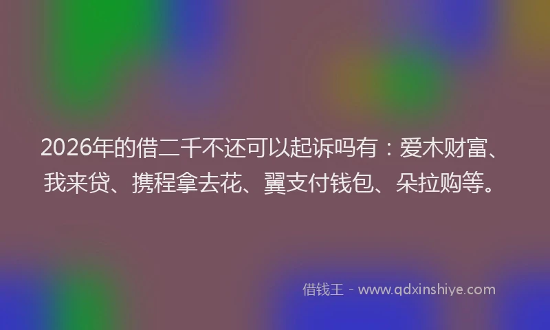 2026年的借二千不还可以起诉吗有：爱木财富、我来贷、携程拿去花、翼支付钱包、朵拉购等。