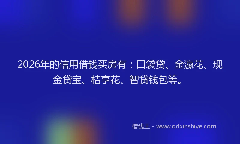 2026年的信用借钱买房有：口袋贷、金瀛花、现金贷宝、桔享花、智贷钱包等。