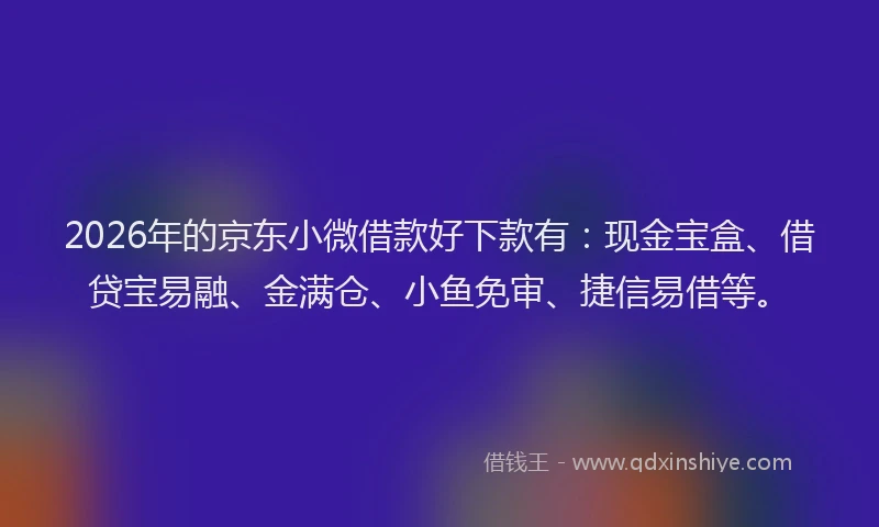 2026年的京东小微借款好下款有:现金宝盒、借贷宝易融、金满仓、小鱼免审、捷信易借等。
