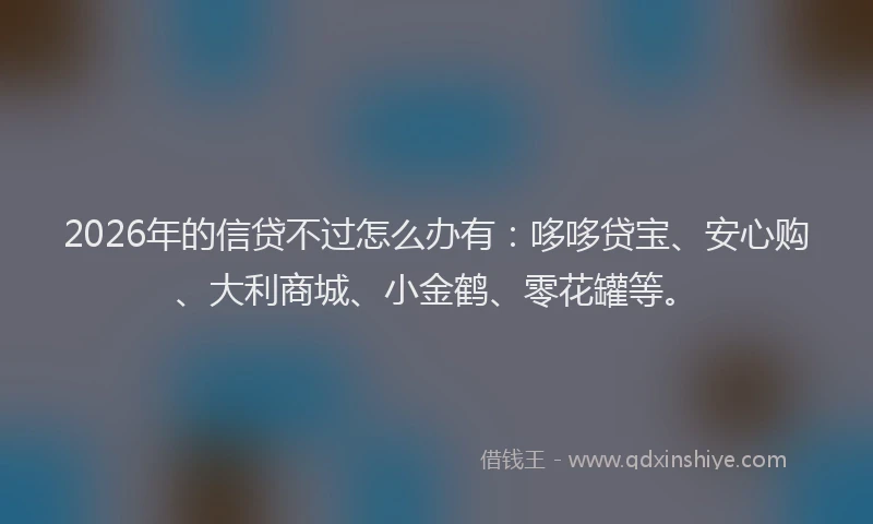 2026年的信贷不过怎么办有：哆哆贷宝、安心购、大利商城、小金鹤、零花罐等。