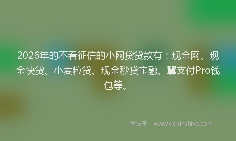 2026年的不看征信的小网贷贷款有：现金网、现金快贷、小麦粒贷、现金秒贷宝融、翼支付Pro钱包等。