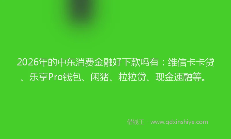 2026年的中东消费金融好下款吗有：维信卡卡贷、乐享Pro钱包、闲猪、粒粒贷、现金速融等。