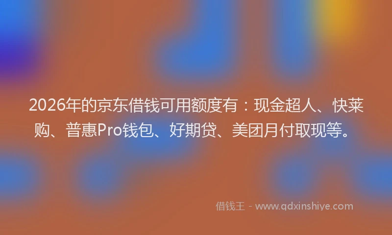 2026年的京东借钱可用额度有:现金超人、快莱购、普惠Pro钱包、好期贷、美团月付取现等。