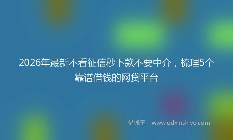 2026年最新不看征信秒下款不要中介,梳理5个靠谱借钱的网贷平台