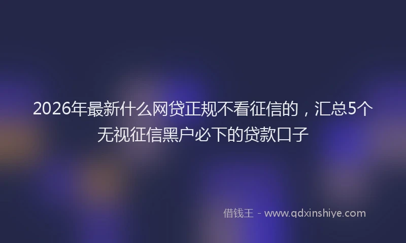 2026年最新什么网贷正规不看征信的，汇总5个无视征信黑户必下的贷款口子