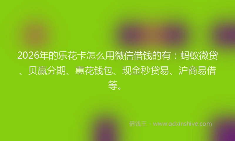 2026年的乐花卡怎么用微信借钱的有：蚂蚁微贷、贝赢分期、惠花钱包、现金秒贷易、沪商易借等。