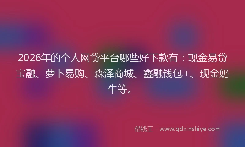 2026年的个人网贷平台哪些好下款有：现金易贷宝融、萝卜易购、森泽商城、鑫融钱包+、现金奶牛等。