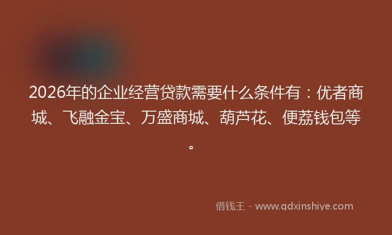 2026年的企业经营贷款需要什么条件有：优者商城、飞融金宝、万盛商城、葫芦花、便荔钱包等。