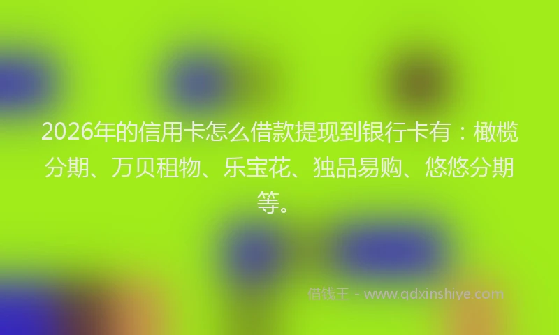 2026年的信用卡怎么借款提现到银行卡有:橄榄分期、万贝租物、乐宝花、独品易购、悠悠分期等。