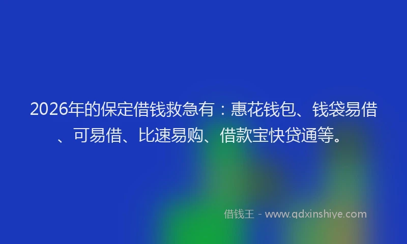 2026年的保定借钱救急有:惠花钱包、钱袋易借、可易借、比速易购、借款宝快贷通等。