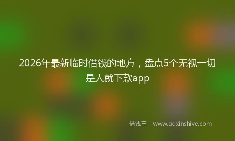 2026年最新临时借钱的地方，盘点5个无视一切是人就下款app