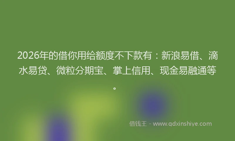 2026年的借你用给额度不下款有:新浪易借、滴水易贷、微粒分期宝、掌上信用、现金易融通等。