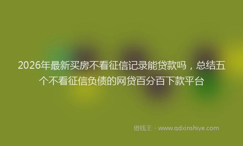 2026年最新买房不看征信记录能贷款吗，总结五个不看征信负债的网贷百分百下款平台