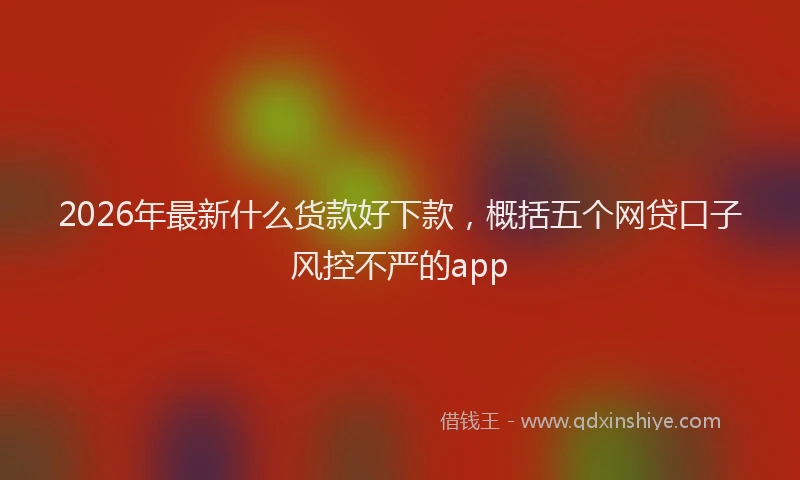 2026年最新什么货款好下款，概括五个网贷口子风控不严的app