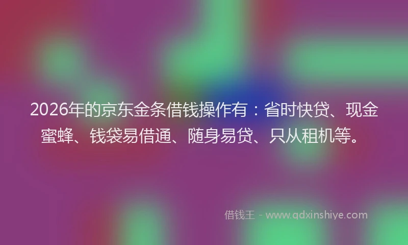2026年的京东金条借钱操作有：省时快贷、现金蜜蜂、钱袋易借通、随身易贷、只从租机等。