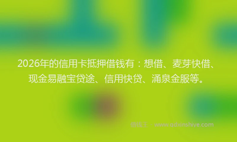 2026年的信用卡抵押借钱有:想借、麦芽快借、现金易融宝贷途、信用快贷、涌泉金服等。