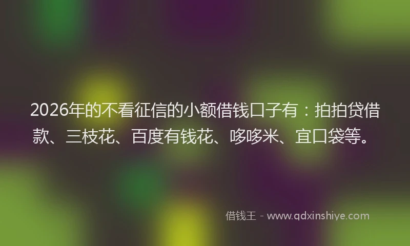 2026年的不看征信的小额借钱口子有：拍拍贷借款、三枝花、百度有钱花、哆哆米、宜口袋等。