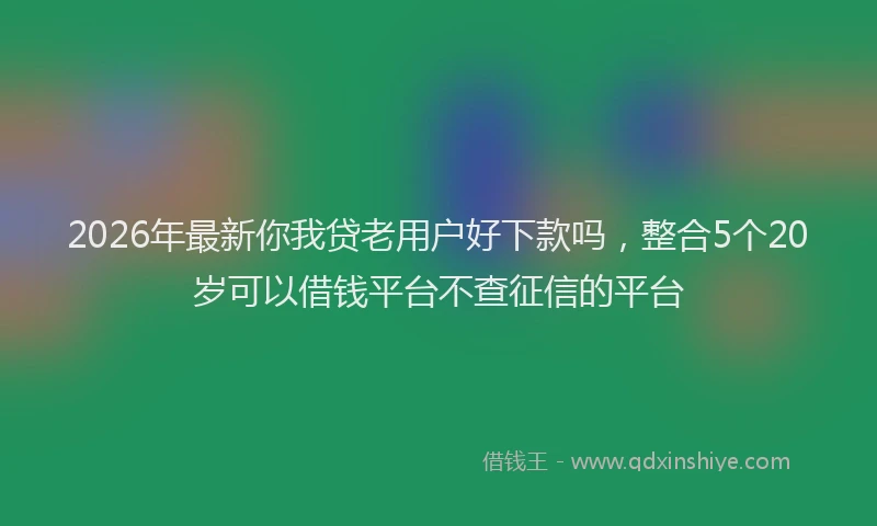 2026年最新你我贷老用户好下款吗,整合5个20岁可以借钱平台不查征信的平台