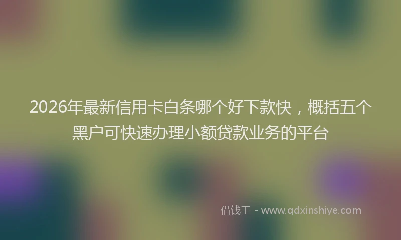 2026年最新信用卡白条哪个好下款快，概括五个黑户可快速办理小额贷款业务的平台
