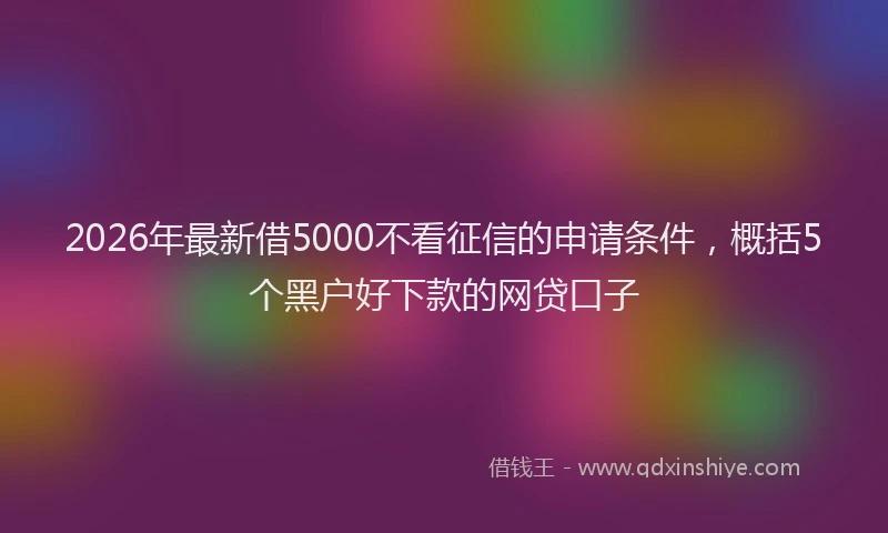 2026年最新借5000不看征信的申请条件，概括5个黑户好下款的网贷口子