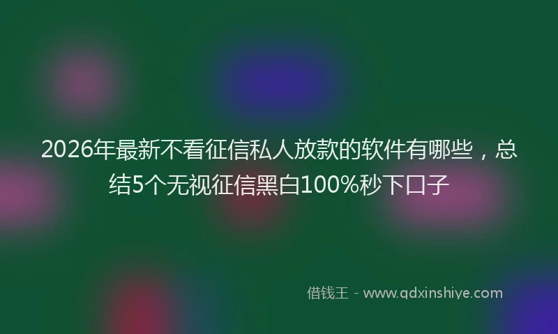 2026年最新不看征信私人放款的软件有哪些,总结5个无视征信黑白100%秒下口子