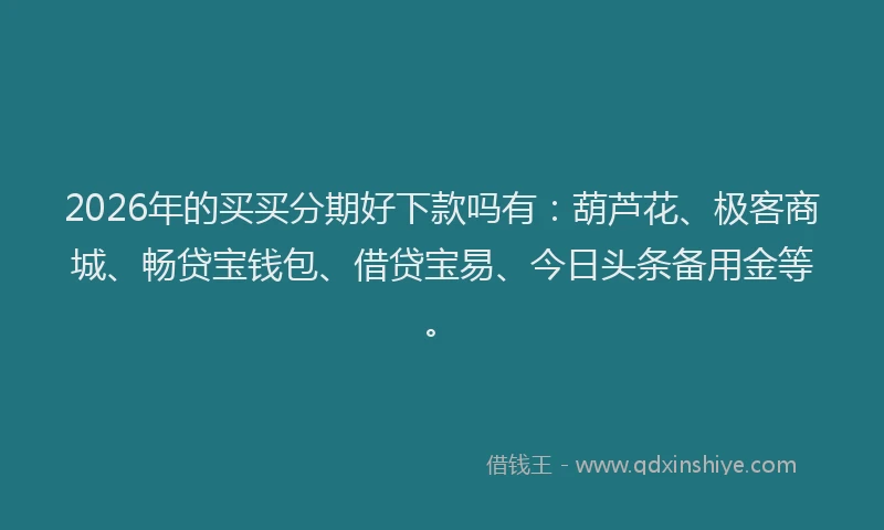 2026年的买买分期好下款吗有：葫芦花、极客商城、畅贷宝钱包、借贷宝易、今日头条备用金等。