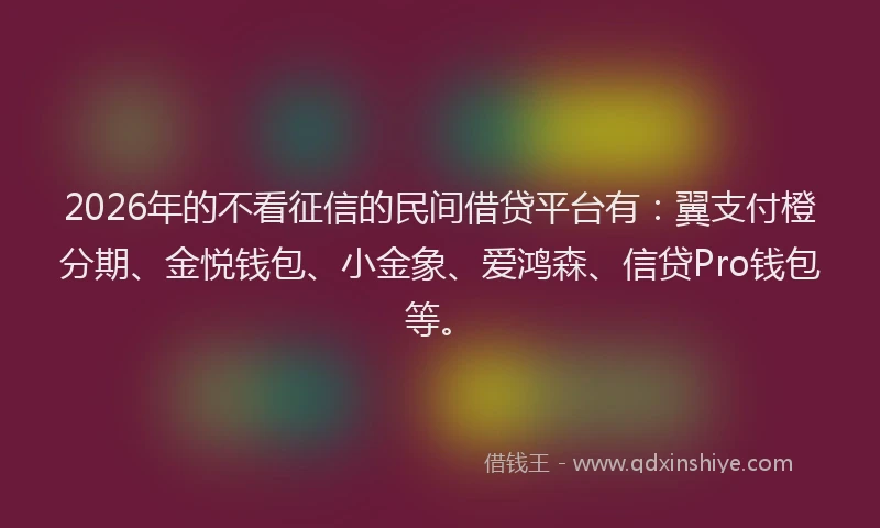 2026年的不看征信的民间借贷平台有：翼支付橙分期、金悦钱包、小金象、爱鸿森、信贷Pro钱包等。