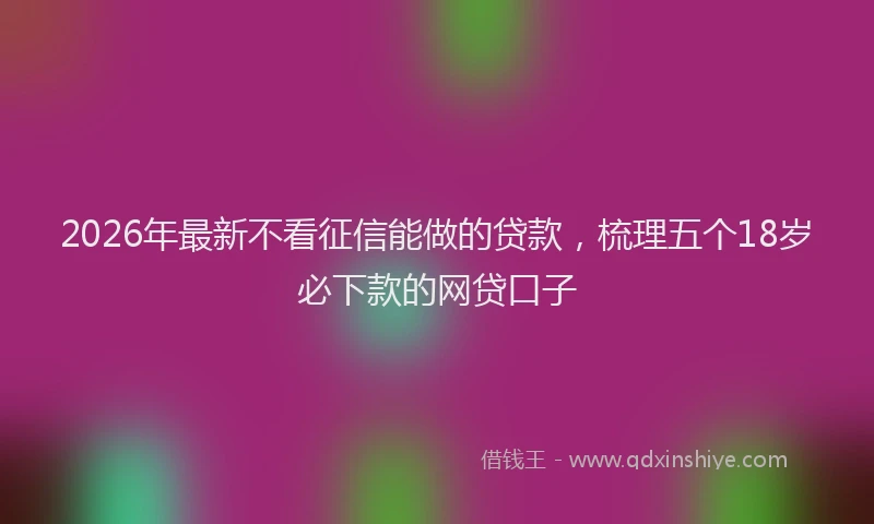 2026年最新不看征信能做的贷款，梳理五个18岁必下款的网贷口子